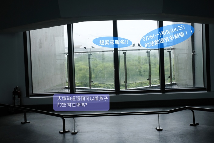 新生的推廣活動圖片