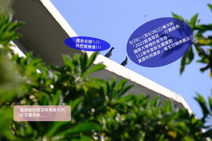 新生圖資推廣活動宣傳圖片